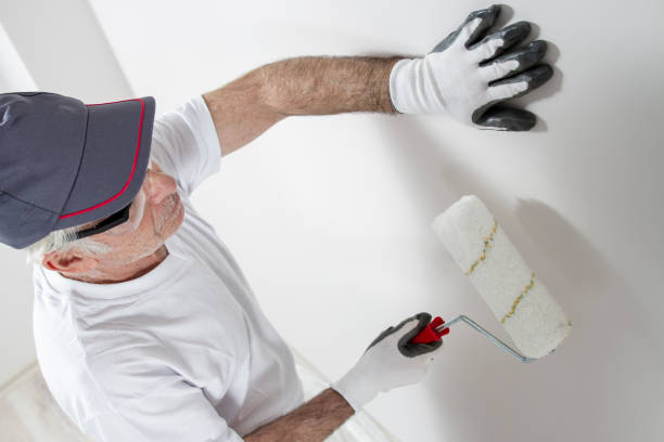 Best Fire-Damaged Drywall Repair  in Wixom, MI