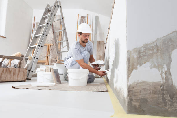 Best Custom Drywall Designs  in Wixom, MI